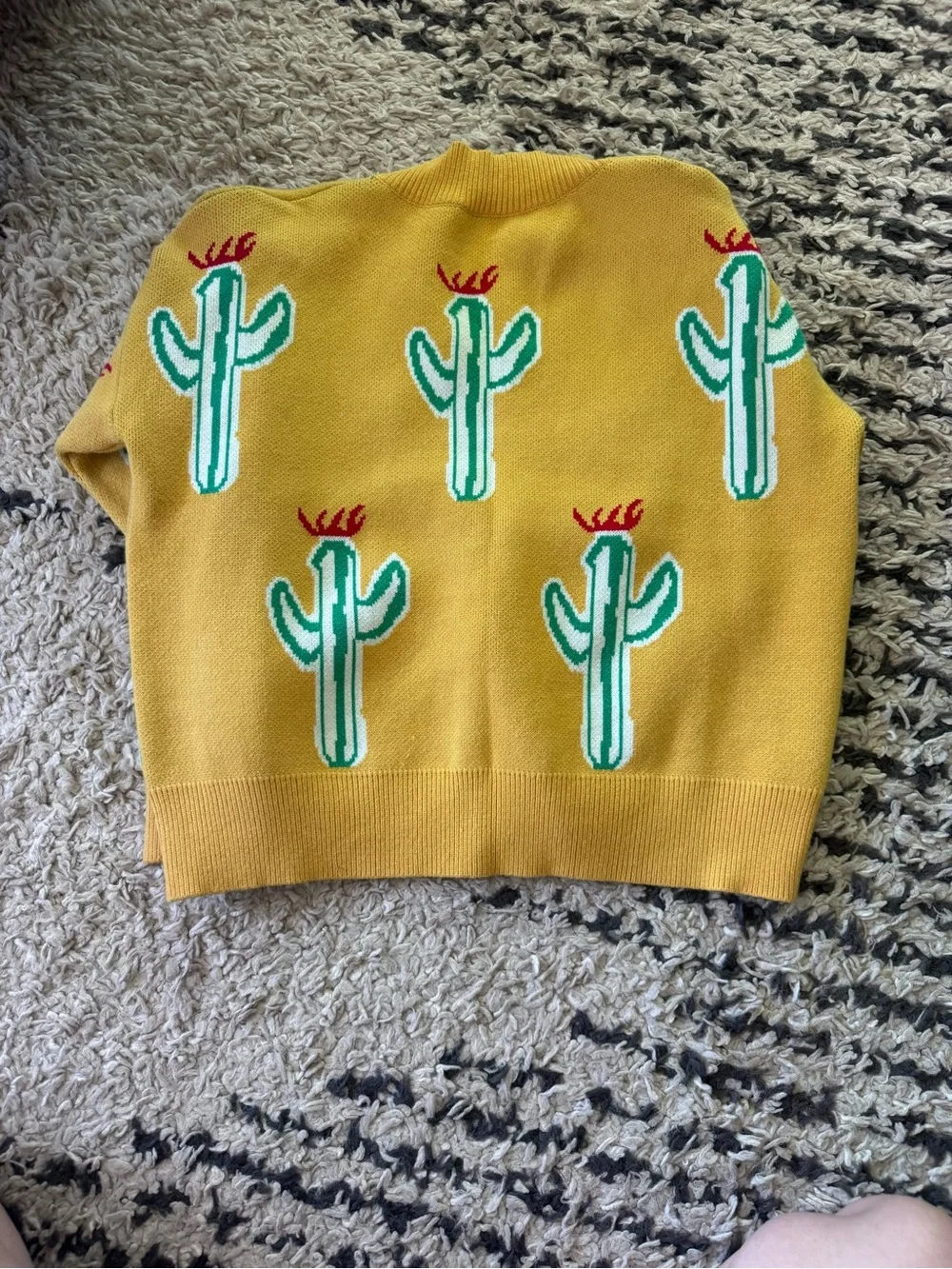 Matching Pet and Person cactus sweaters
